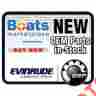 0303804 Evinrude Seal Pivot Shaft