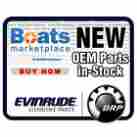 0338988 Evinrude Seal