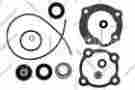 0396352 Evinrude Gearcase Seal Kit