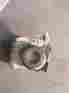 127212 Omc Part Bushing Thrust