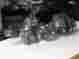 129001-21000 Yanmar New 3jh3 Crankshaft