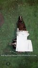 854022 1990 Unit Single Gear Penta Dp- Volvo Sp V8 Duo Sp- Upper V6 290