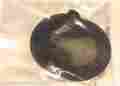 0765590 B765590 765590 Omc Cobra Sterndrive Exhaust Seal Flapper Brp Systematched 745419356040