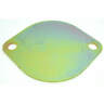 R019010 Crusader Flywheel Housing Starter Cover Plate