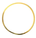 Mtu Piston Ring 5320110027. Fixed Price $10.00.