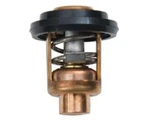 6F5-12411-03-00 Yamaha 9.9-55 Hp Thermostat 60 /140 Replaces. Fixed Price $19.55.