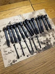 Caterpillar 3116 Cylinder Head Bolts Set. Fixed Price $299.00.