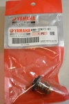 Genuine Oem Yamaha Thermostat, 69M-12411-01, 69M124110100. Fixed Price $32.99.