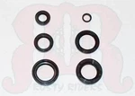 New Engine Oil Seals Kit Set For Yamaha CT2 CT3 125 175. Fixed Price $19.99.