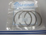 *new* 0720 Sierra Piston Ring Set 18-3902 Replaces: 39-78816A12. Fixed Price $30.00.