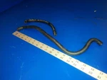 Hose 0347034 Tube 0333395 For Pump 5004429 Johnson Evinrude 225HP 250HP?. Fixed Price $39.00.