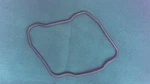 Oem Johnson Evinrude Omc 911831 Exhaust Pipe Seal. Fixed Price $12.95.