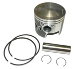 Wsm Johnson / Evinrude 200-250 Hp 6 Cyl Piston Kit 100-125SK Std Size Star Side. Fixed Price $102.90.