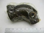 0981281 0907776 Omc Stringer Stern Drive Port Exhaust Manifold Elbow. Fixed Price $159.99.
