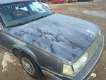 1988 Buick Electra Hood Oem E16TJ. Fixed Price $975.96.