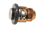 New Oem Yamaha 6G8-12411-02-00 Thermostat Nos. Fixed Price $49.99.