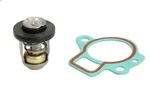 Sierra 118-3611 Thermostat, Coolant. Fixed Price $81.69.