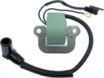 18-5196 Sierra Ignition Coil For Evinrude 15HP 35HP Johnson 0502880 0581407. Fixed Price $23.99.