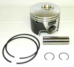 Piston Kit Johnson Evinrude 200 250 Hp 3.3L E-tec 04-14 Port .020 Over 5005912. Fixed Price $142.08.
