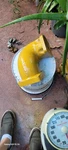 4W7611 Cat Elbow For Engines 3208. Fixed Price $800.00.