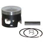 Prom Prov Piston Kit .020 Johnson Evinrude 200-250 V6 Big Bore Finger Porte. Fixed Price $111.00.