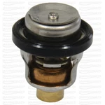 Suzuki Marine Engine Thermostat Replacement Coolant DF40A DF50A For 17670-93953. Fixed Price $35.83.