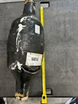 #1640149 Centek Wet Exhaust Muffler, Fiberglass, Never Used. Need Paint Maybe. Fixed Price $155.00.