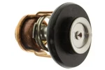 Yamaha 4-STROKE F15C-F20 Thermostat 6AH-12411-00-00. Fixed Price $53.95.