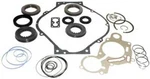 Overhaul Rebuild Kit Master Borg Warner Velvet 5000 V-drive With Plates. Fixed Price $799.95.