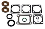 Hurth Hbw 5,50,100 Marine Transmission Overhaul Gasket And Washer Kit. Fixed Price $119.44.