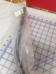 Dorman Dipstick Tube New In Package 917-318. Fixed Price $49.99.