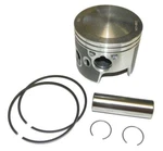 Wsm Piston Kit For Johnson/evinrude 200 250 Hp 6 Cyl 93-01 Starboard Standard. Fixed Price $102.90.