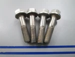 New Oem (lot Of 4) 0330139 Omc Johnson Evinrude Screw 0810. Fixed Price $23.00.